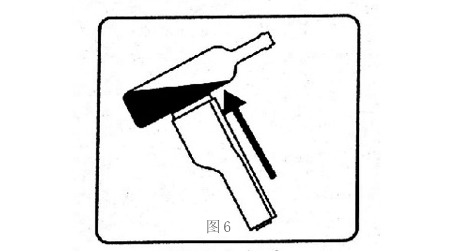 scs6.jpg